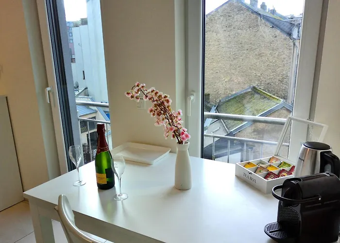 Elegant Bedroom At Luxembourg Gare 卢森堡